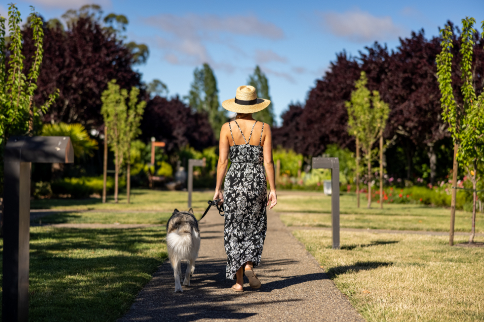 Group Classes / Pack Walks