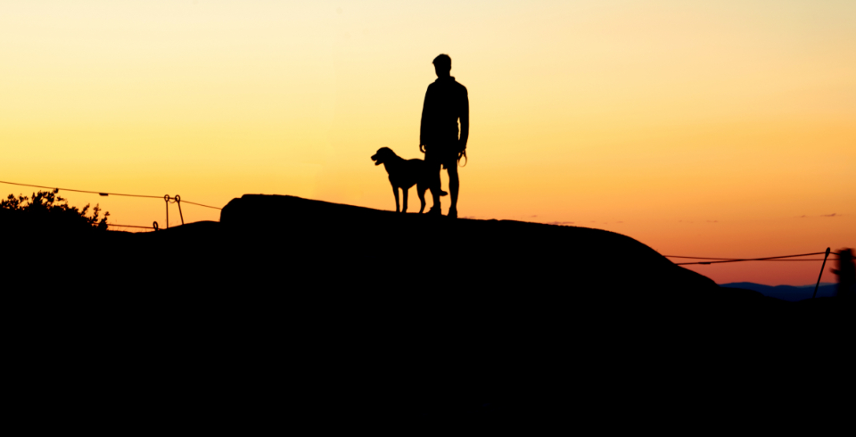 Trainer and dog silhouetted at sunset after a training session